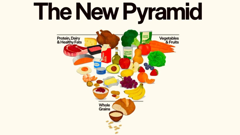 Graphic titled “The New Pyramid” showing an inverted food pyramid. Whole grains appear at the bottom point. Above them are fruits and vegetables. At the top are protein, dairy, and healthy fats, illustrated with foods such as meat, fish, eggs, dairy products, oils, nuts, fruits, vegetables, and grains.