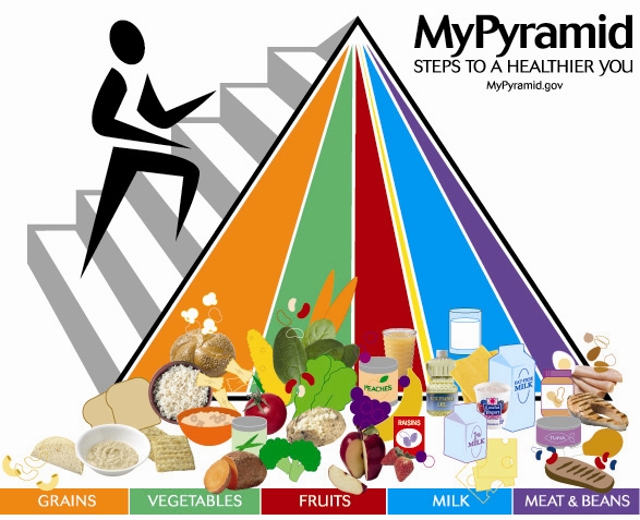 USDA MyPyramid graphic introduced in 2005, showing a triangular pyramid divided into vertical color bands for grains, vegetables, fruits, milk, and meat and beans. A figure climbing steps appears on the left to represent physical activity. Food images are placed within each colored band, and the graphic emphasizes personalization rather than fixed serving amounts.