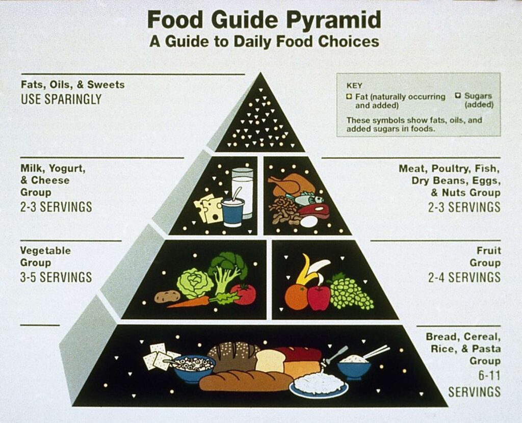 1992 USDA Food Guide Pyramid showing a triangular chart of recommended food groups. The base features bread, cereal, rice, and pasta labeled 6–11 servings per day. Above are vegetables (3–5 servings) and fruits (2–4 servings). The next level includes milk, yogurt, and cheese (2–3 servings) and meat, poultry, fish, dry beans, eggs, and nuts (2–3 servings). The top of the pyramid shows fats, oils, and sweets labeled “use sparingly.”